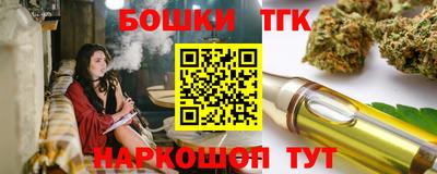 твердый Камышлов